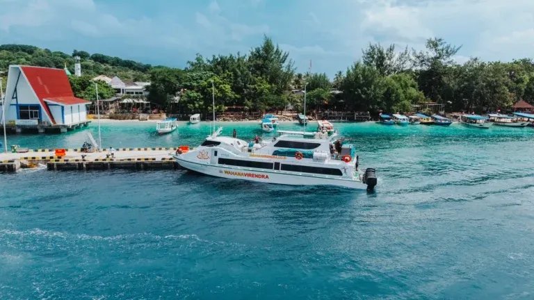 Wahana Virendra Fast Boat